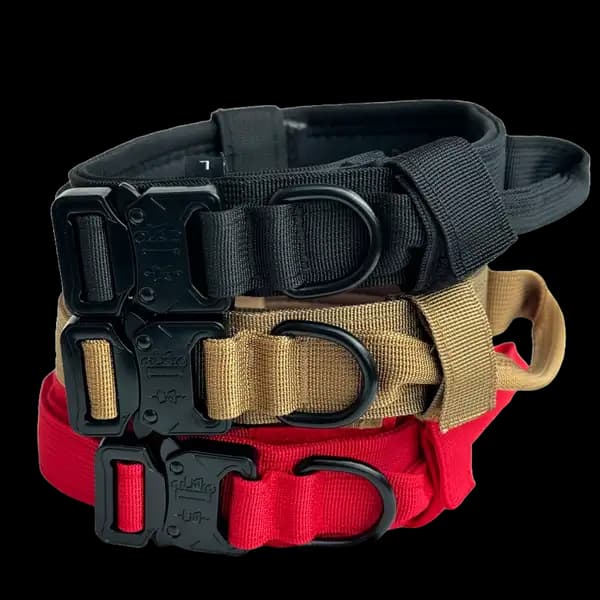 Hundehalsband mit Griff: Praktische Tipps zur Verwendung