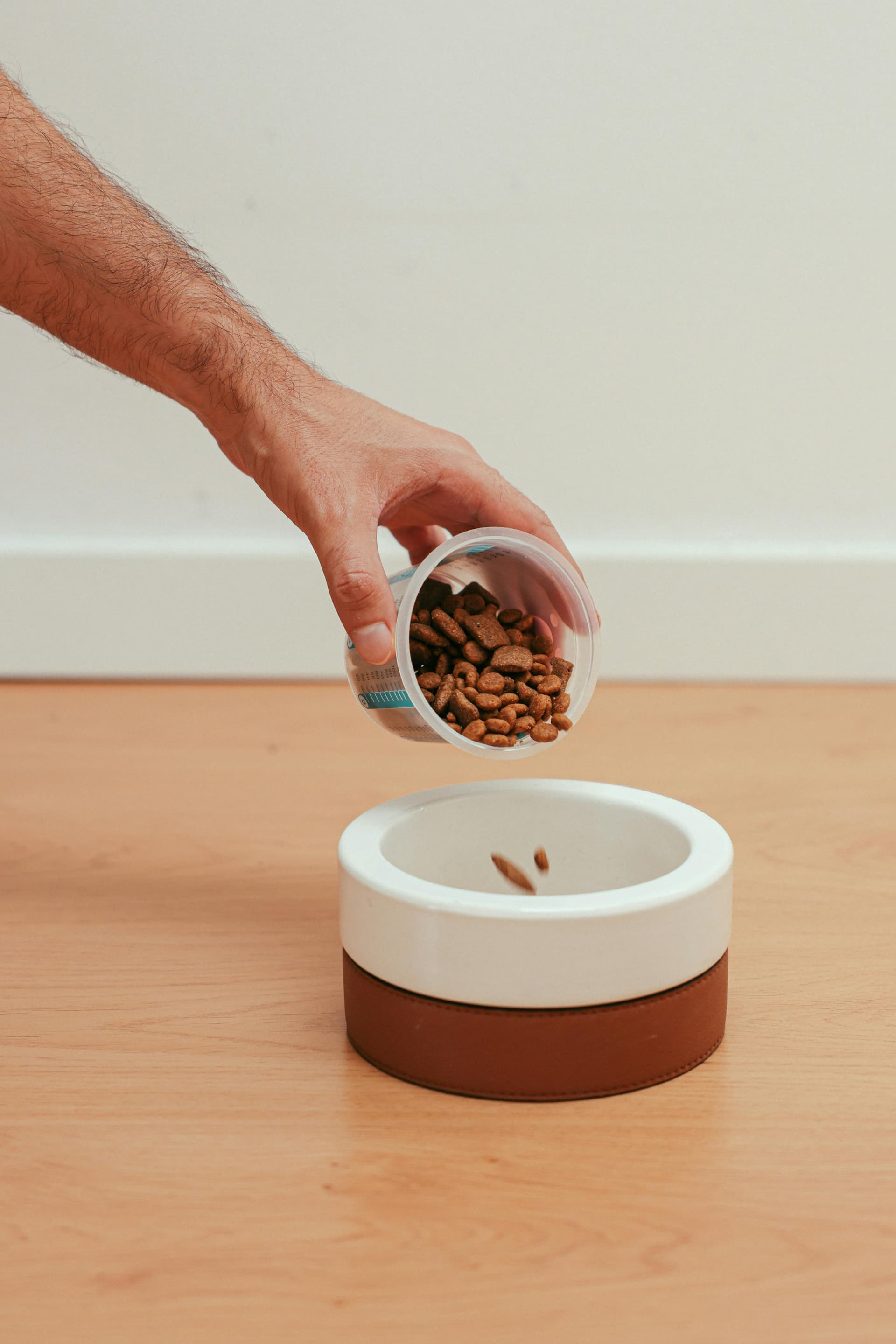 ollie dog food complaints