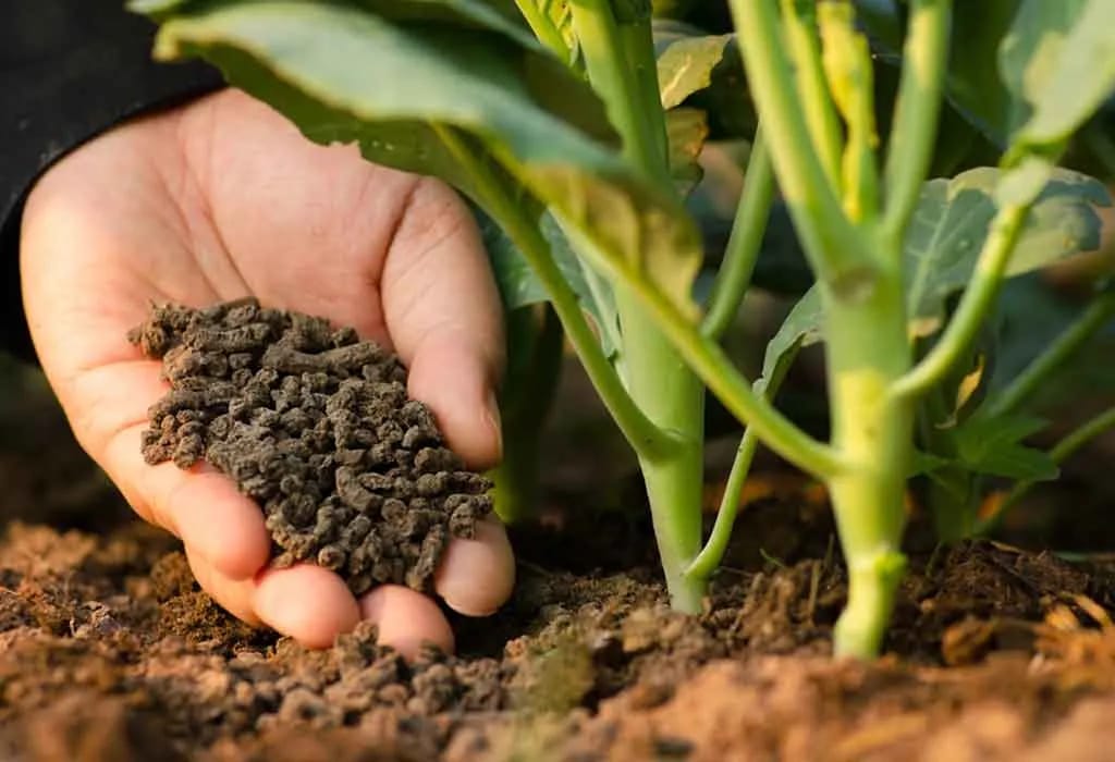 Warum Metrop Flüssigdünger die beste Wahl für Hydrokultur und Gartenbau ist