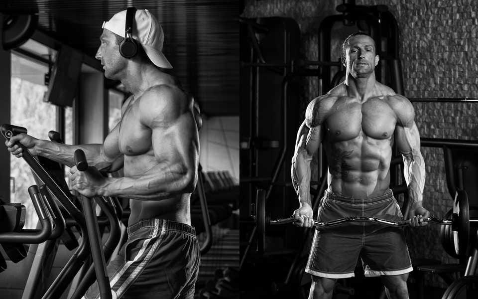 Bounty Hi Protein kaufen – Fitnessriegel bei Fatburnerking