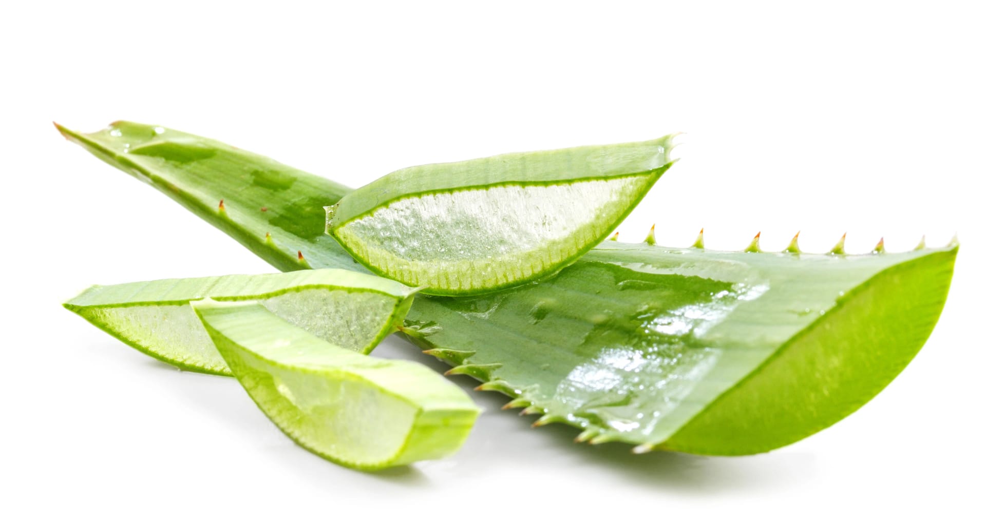 Verjüngen Sie Ihre Haut mit Forever Living Aloe Vera Beauty-Produkten