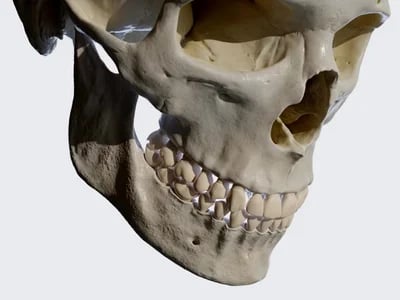 Craniosophy: Neue Ansätze in der Behandlung von Kiefergelenkbeschwerden
