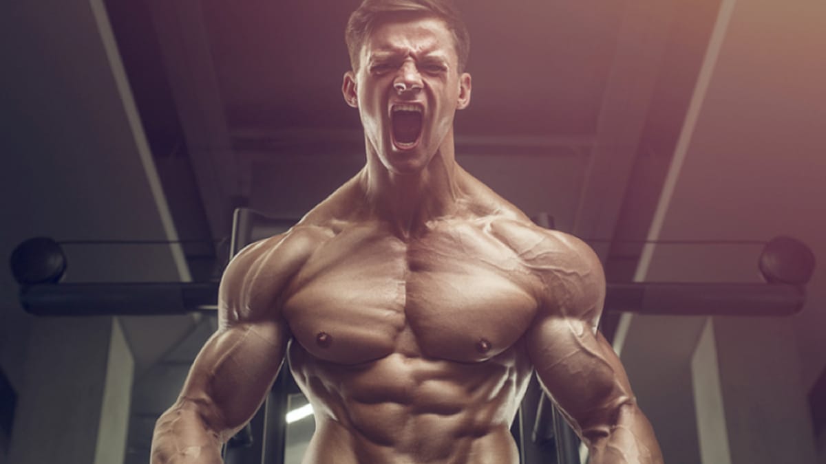 Wo Fatburner Black Mamba kaufen? Jetzt bei Fatburnerking