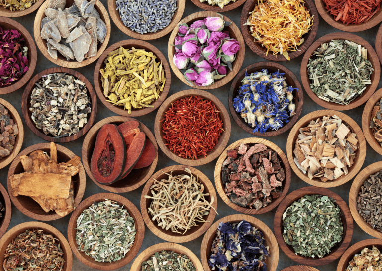 Entdecke neue Geschmackswelten mit Spices of the World