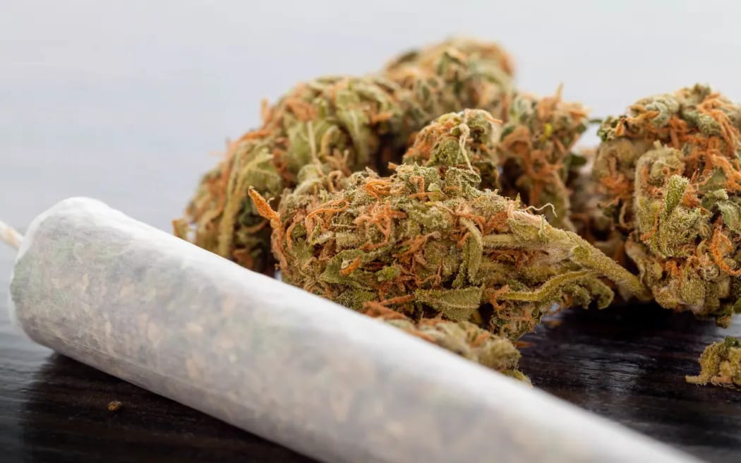 THCA Blüten & Hash: Legal & Hochwertig bei Hempli