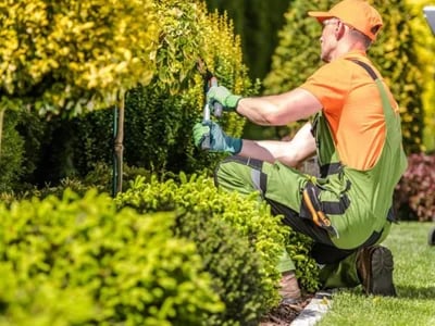 Modernes Design und Qualität vereint – Ihr Spezialist für Pflasterarbeiten Braunschweig