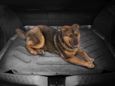 Perfekte Fussmatten für Auto – Passgenauigkeit und Schutz in 3D