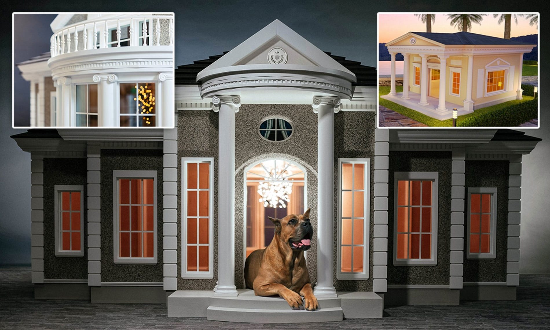 Ferienhaus mit Hund Deutschland – Gemeinsam neue Regionen erkunden