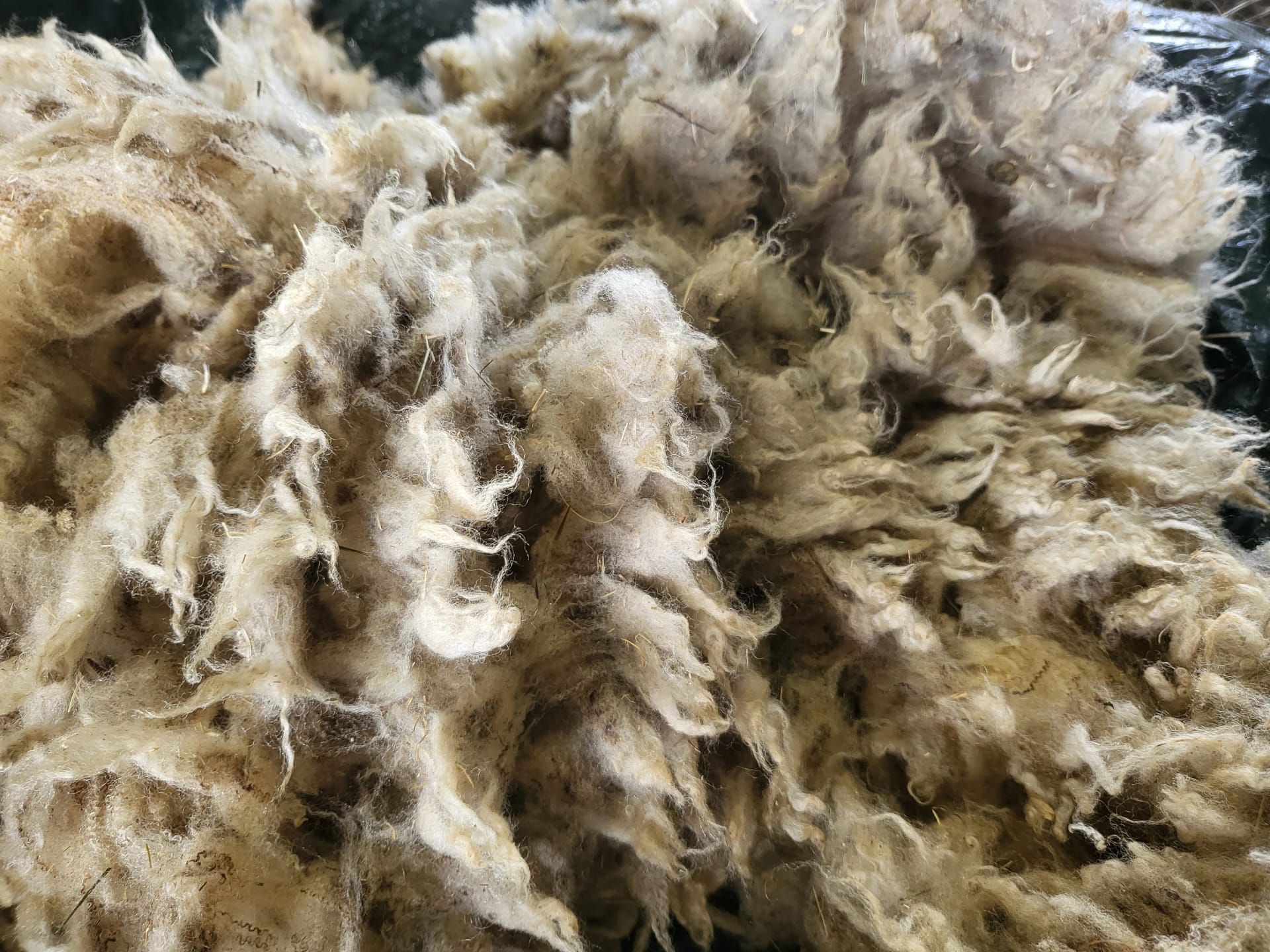 Von der Schur zur Spindel: Unsere Leidenschaft für Naturfasern