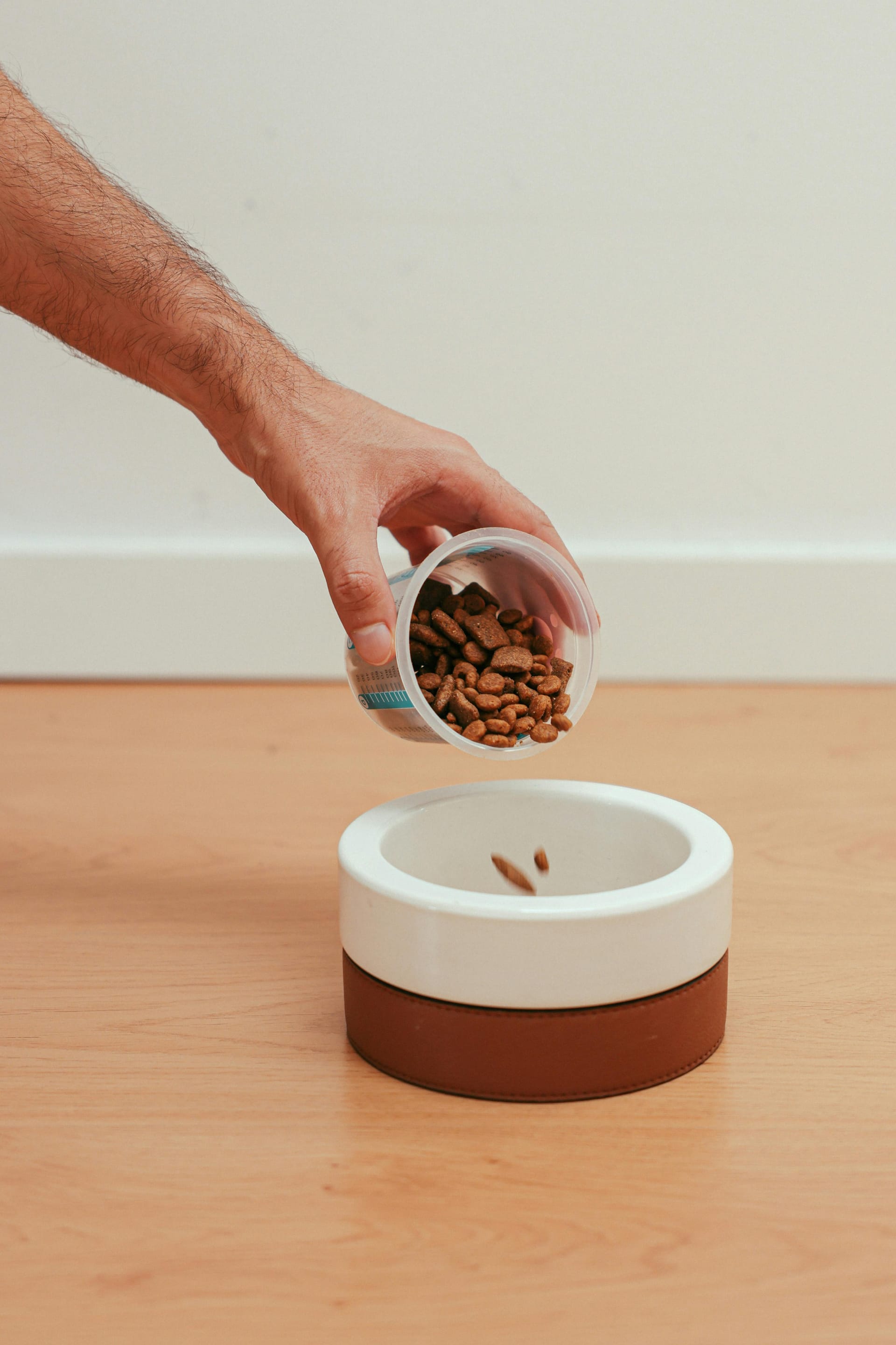 ollie dog food complaints