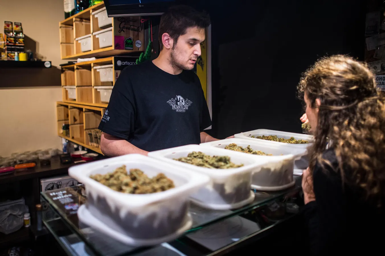 Cannabis Club Barcelona: Die besten Orte auf einen Blick