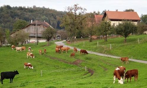 Der perfekte Pachtvertrag landwirtschaft für Landbesitzer