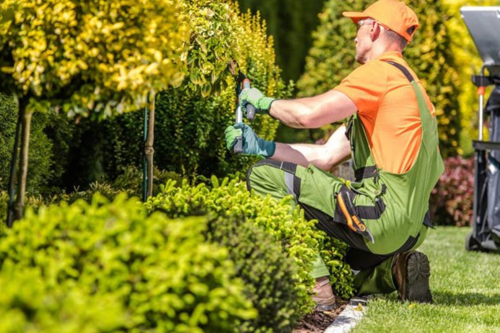 Modernes Design und Qualität vereint – Ihr Spezialist für Pflasterarbeiten Braunschweig