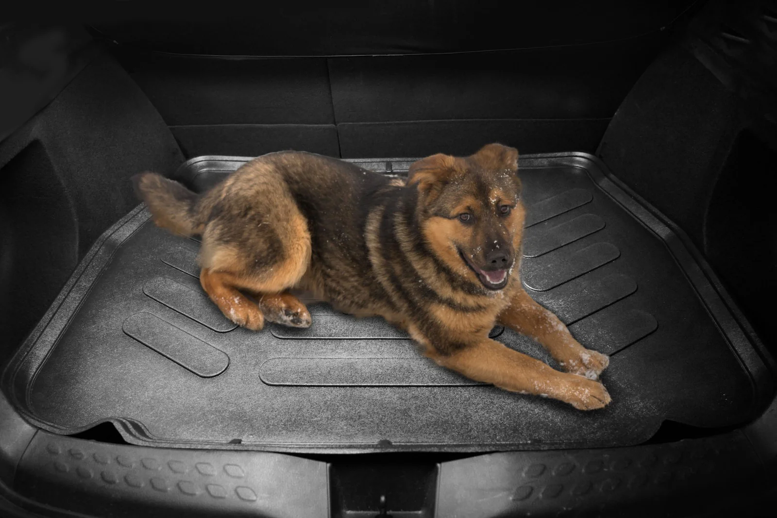 Perfekte Fussmatten für Auto – Passgenauigkeit und Schutz in 3D