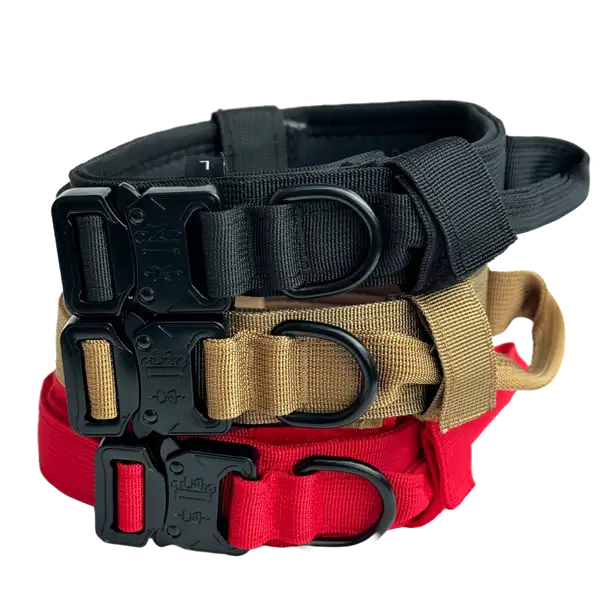 Hundehalsband mit Griff: Praktische Tipps zur Verwendung