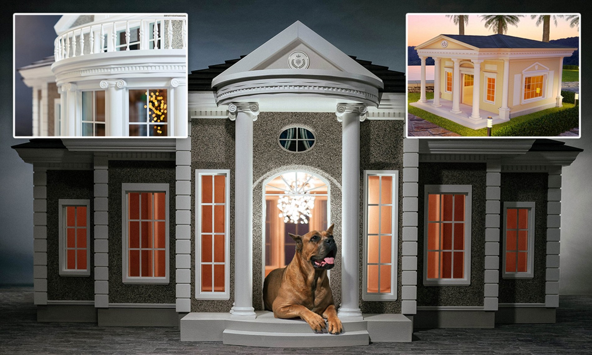 Ferienhaus mit Hund Deutschland – Gemeinsam neue Regionen erkunden