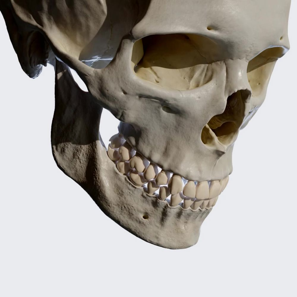 Craniosophy: Neue Ansätze in der Behandlung von Kiefergelenkbeschwerden