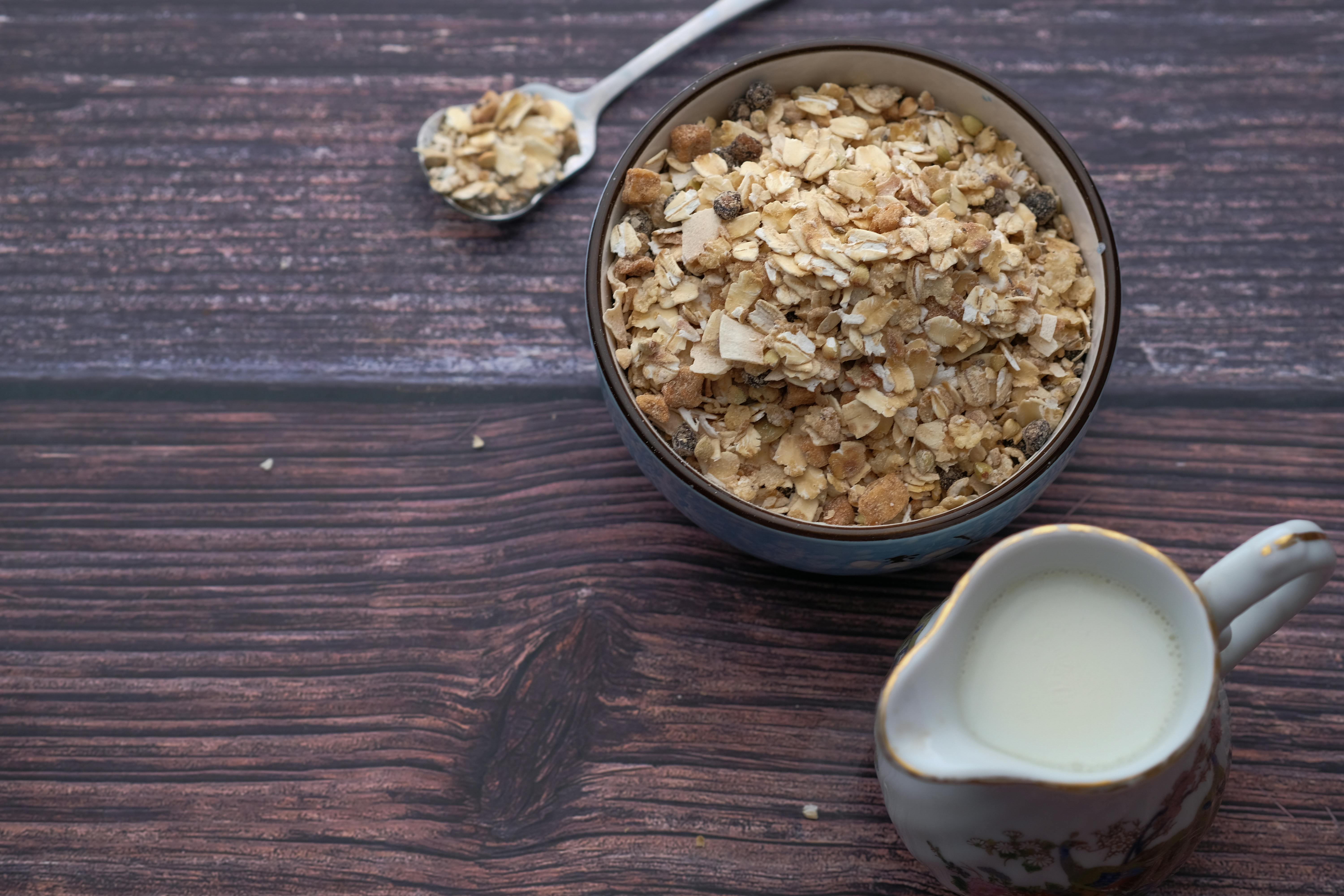 Ollie Dog Food Complaints: Is This Fresh Food Service Worth It?