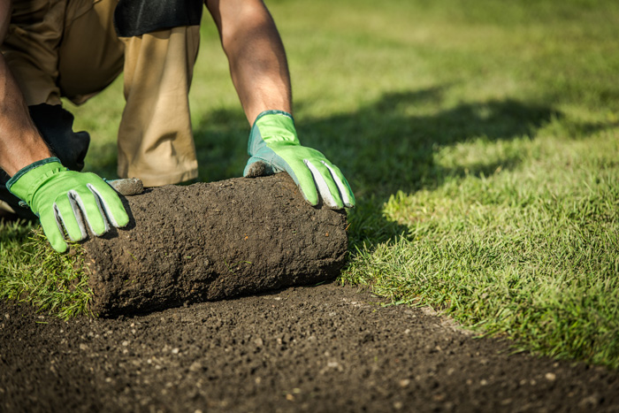 Gartenbau Ibbenbüren: Wir Gestalten Ihren Traumgarten