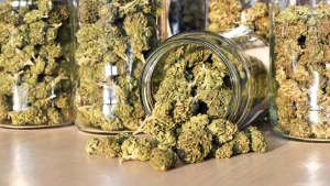 slide-7-marijuana-jars-source-getty