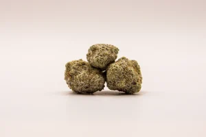 GorillaCookieZoom-scaled