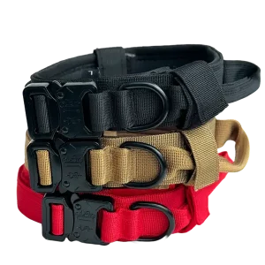 all-collar