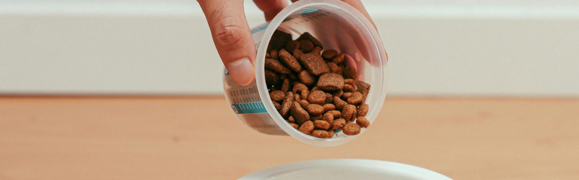 ollie dog food complaints